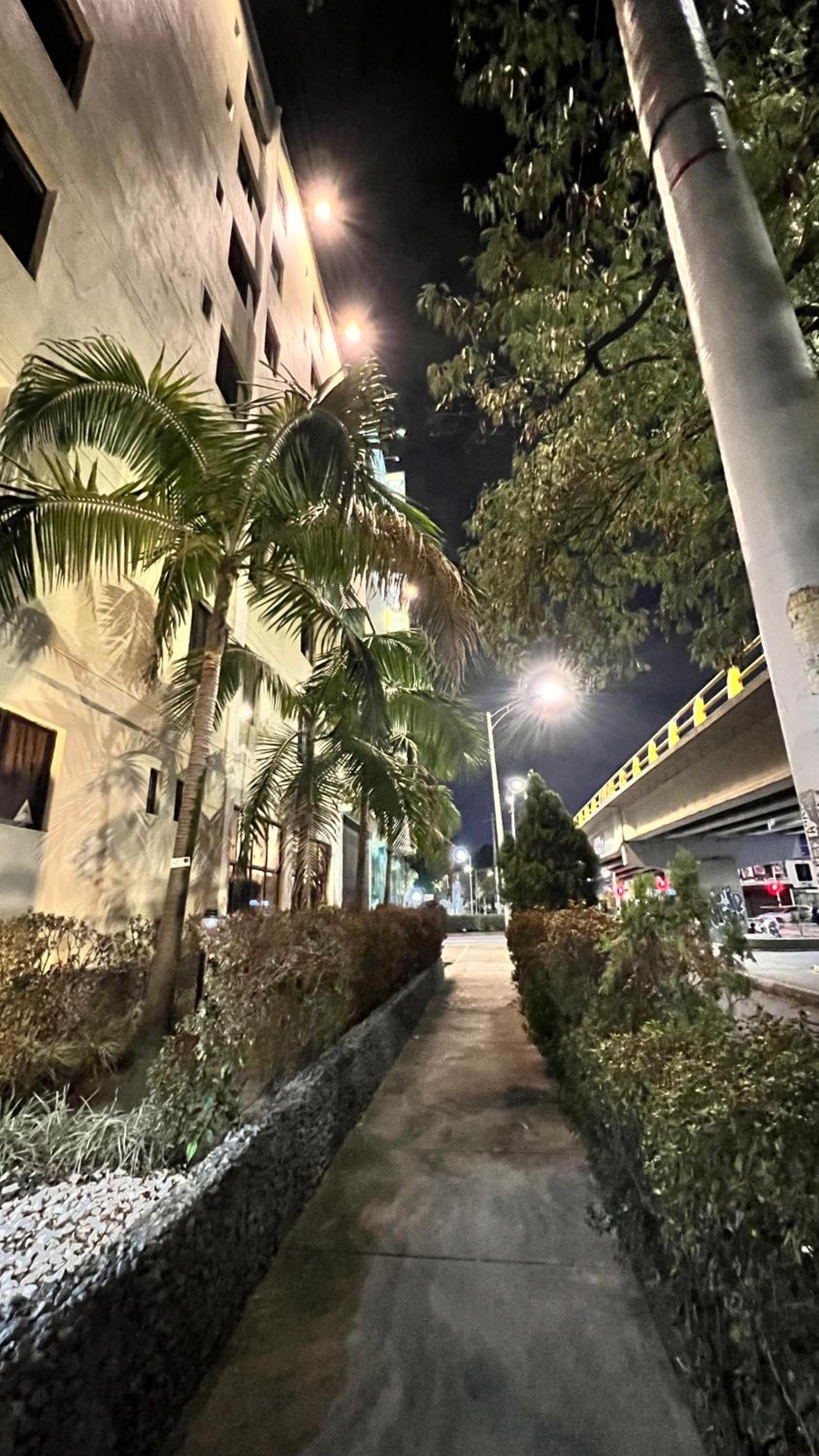 Foto de Hotel Gran Conquistador 33