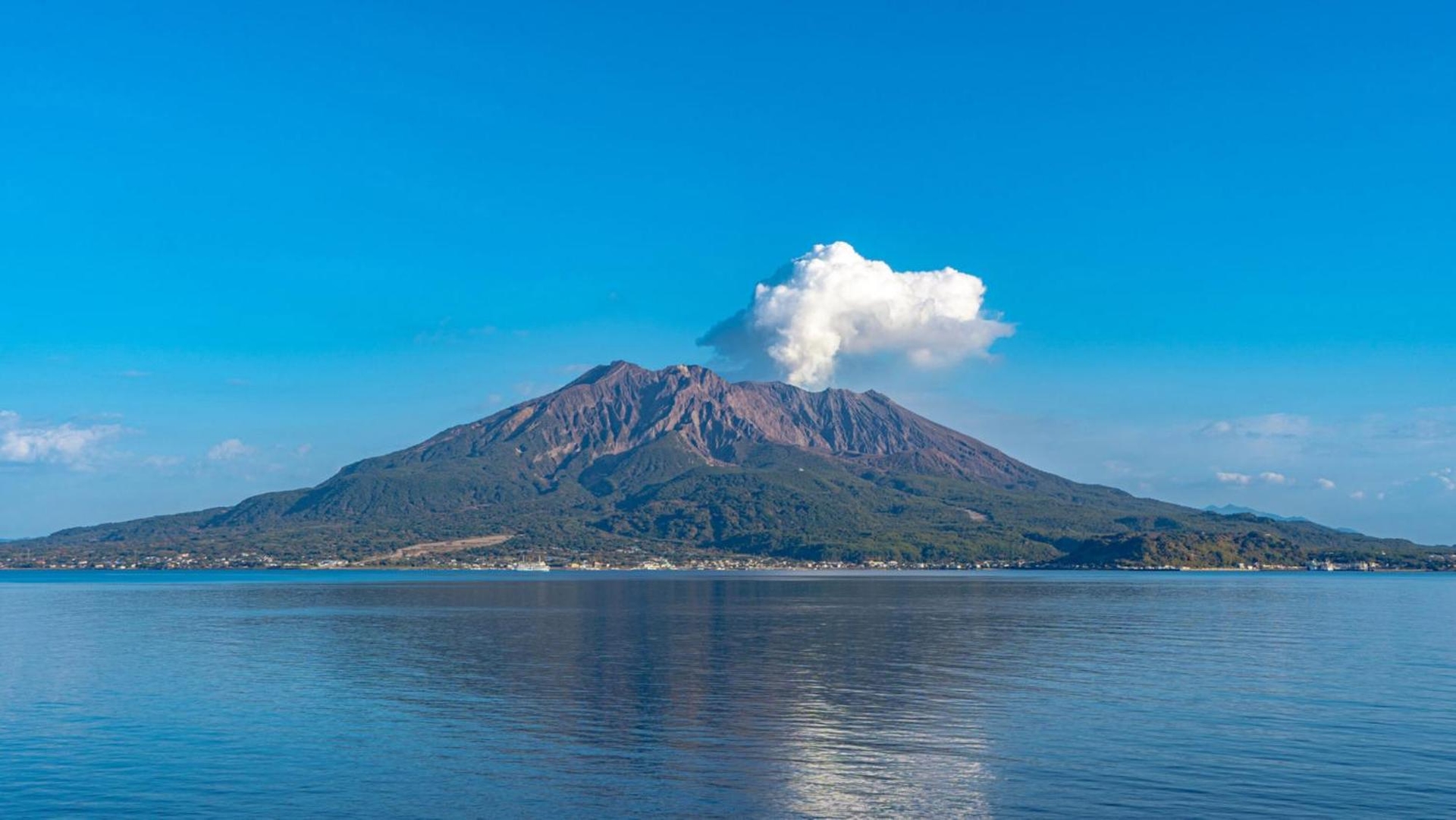 Foto de Toyoko Inn Kagoshima chuo eki Higashi guchi