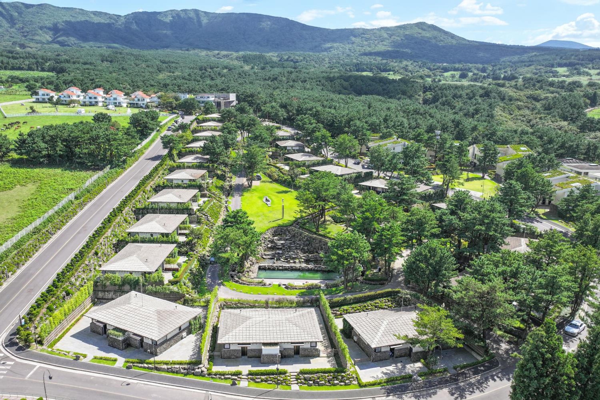 Amber Pure Hill Hotels & Resorts Jeju
