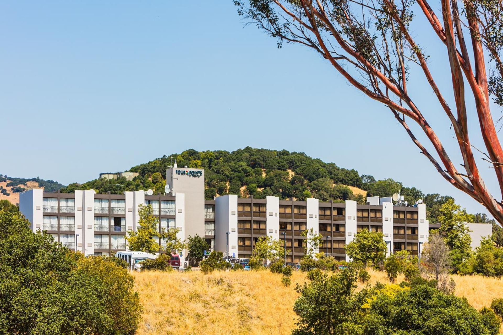 Marin Hilltop Hotel, San Rafael