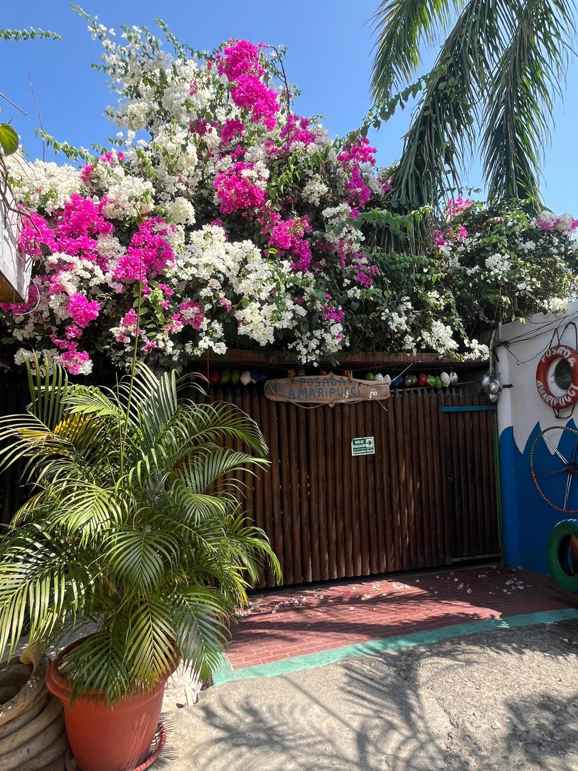 Foto de Posada Amaripucci