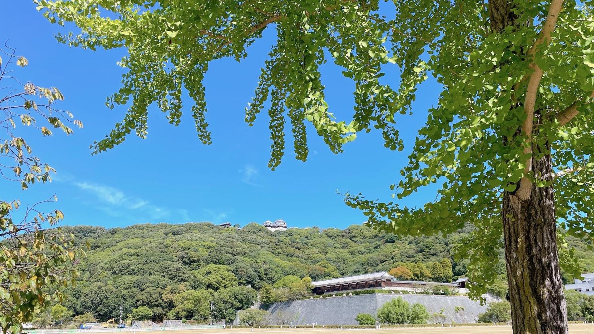 Foto de REF Matsuyama City Station by VESSEL HOTELS