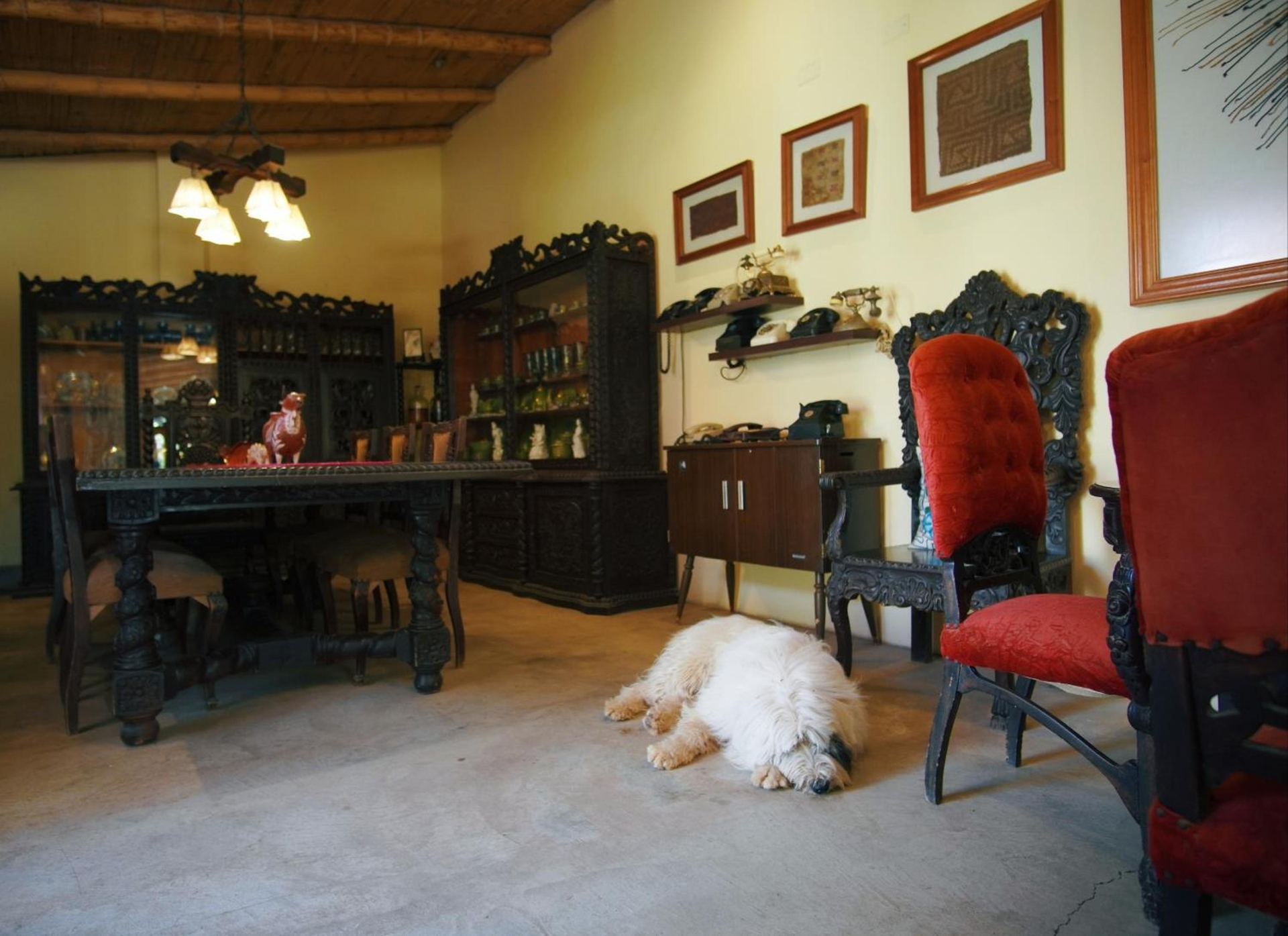 Foto de Serenity Lodge