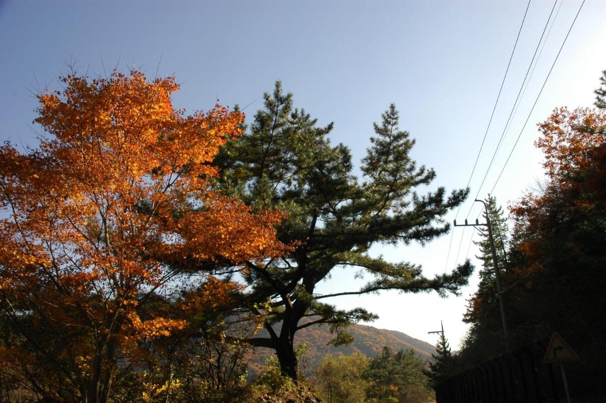 Foto de Namhae Neuhaus