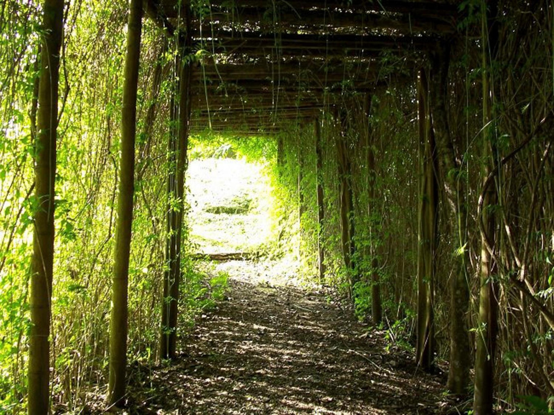 Foto de Hotel Campestre la Navarra