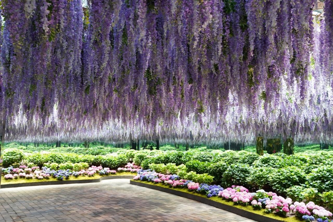Foto de Kensington Resort Gapyeong