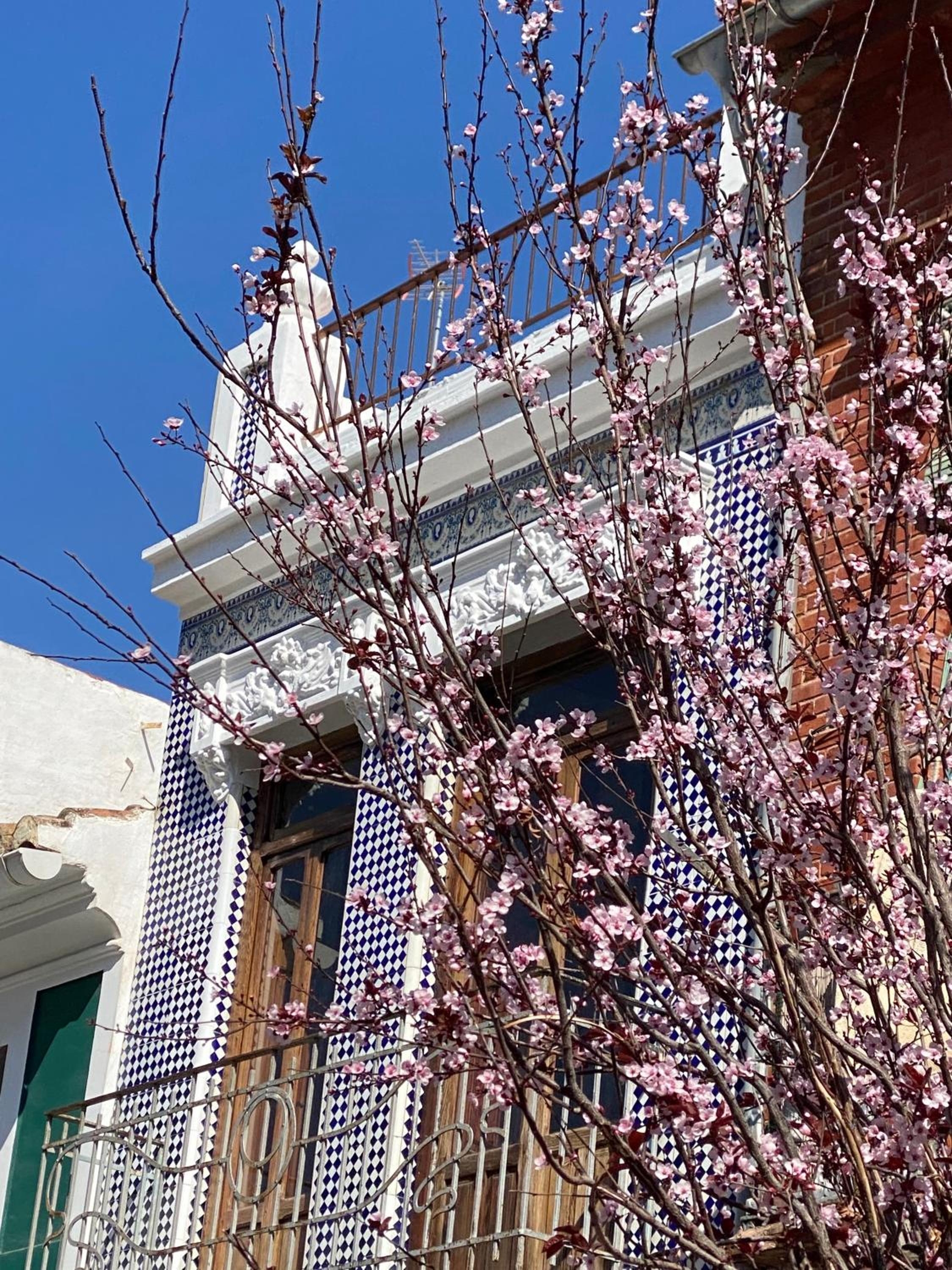 Artisan Haven: El Cabanyal Oasis, Valencia