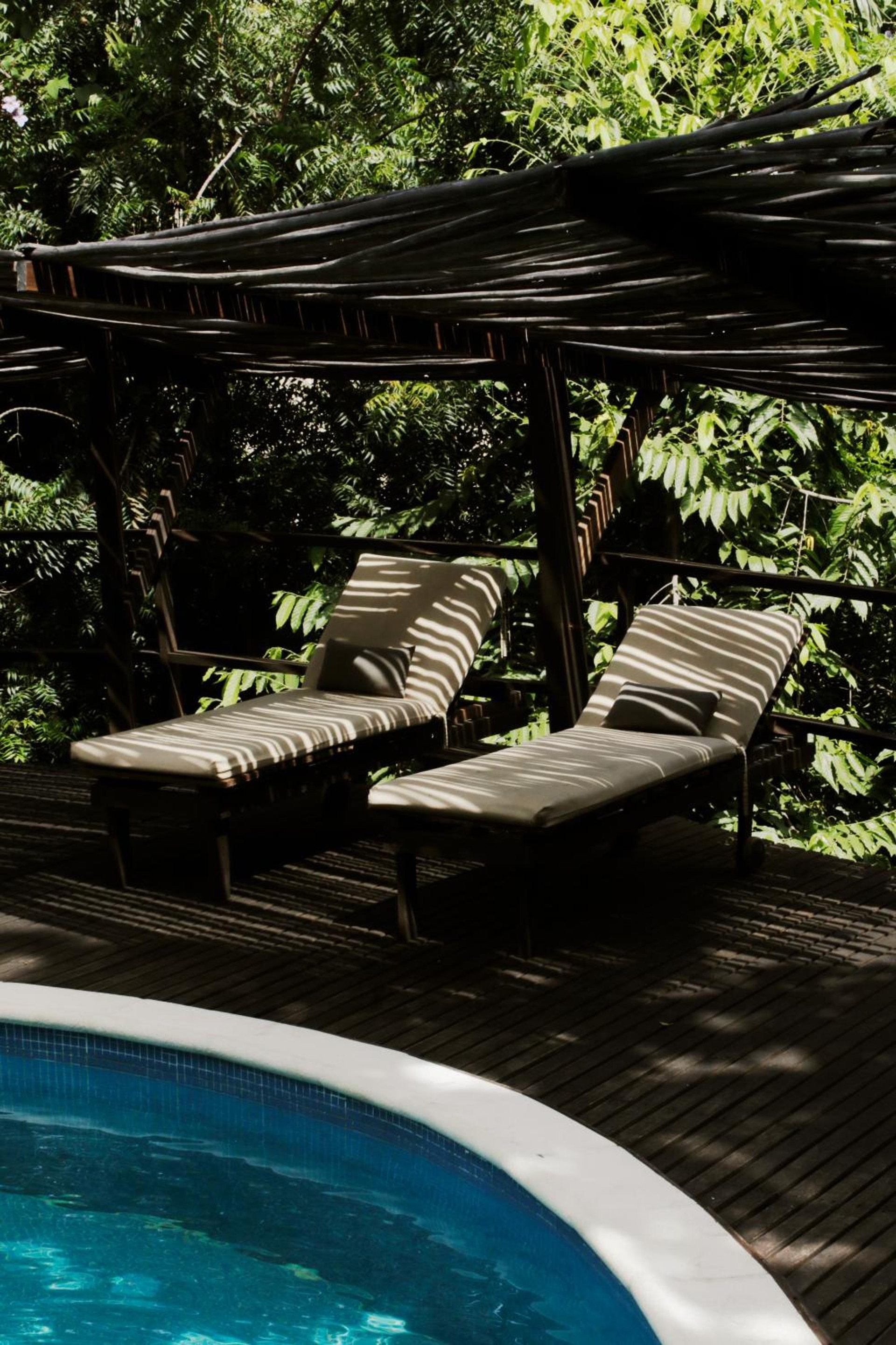 Foto de Finca Barlovento Maloka, Tayrona