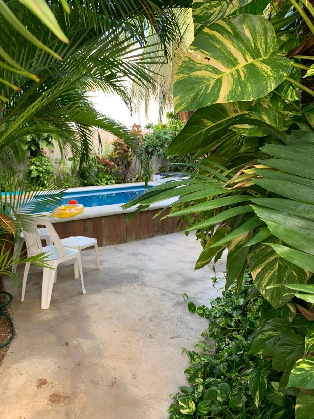 Foto de Casa Nona Rosa