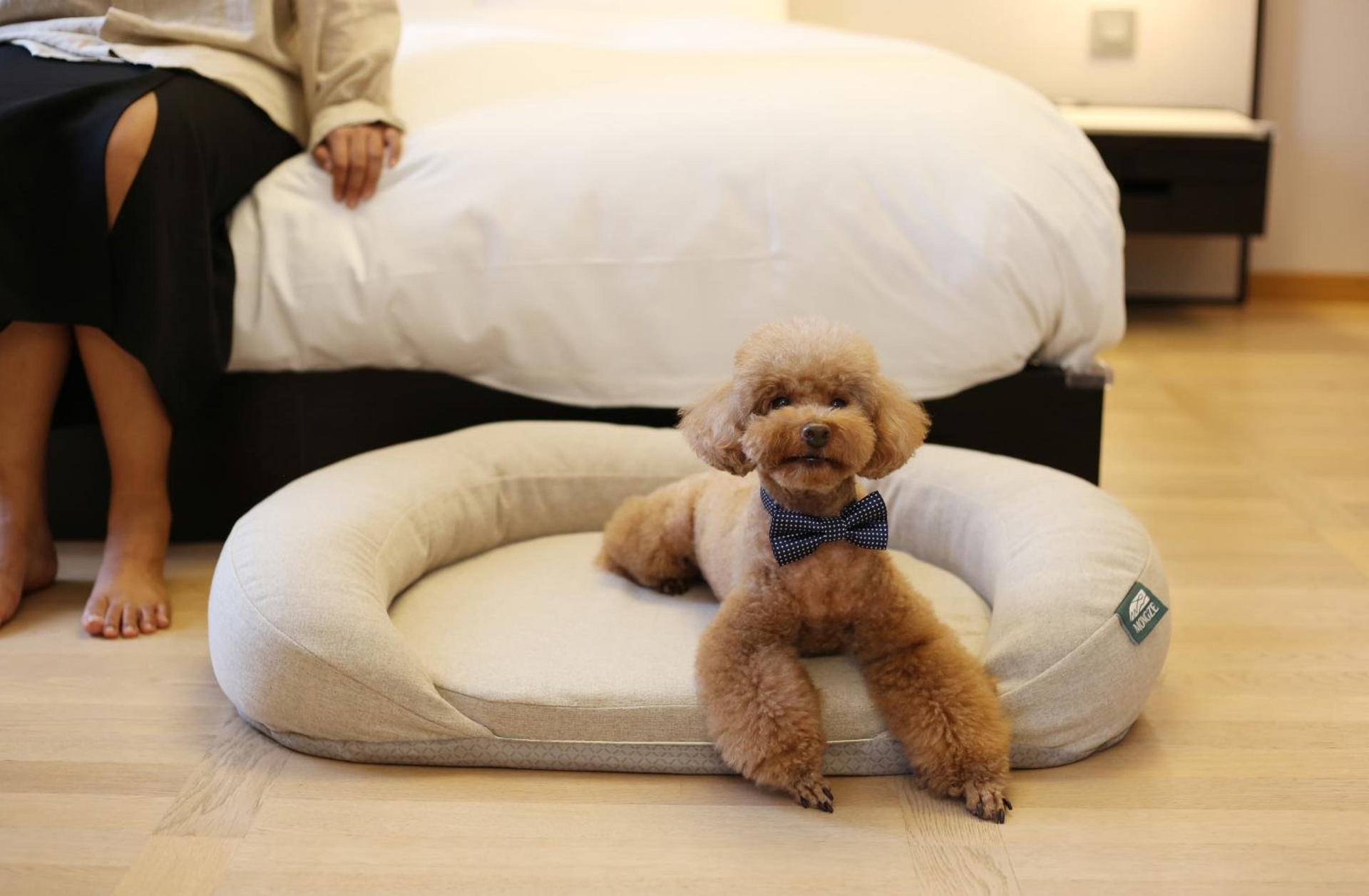 Foto de Maison Glad Jeju