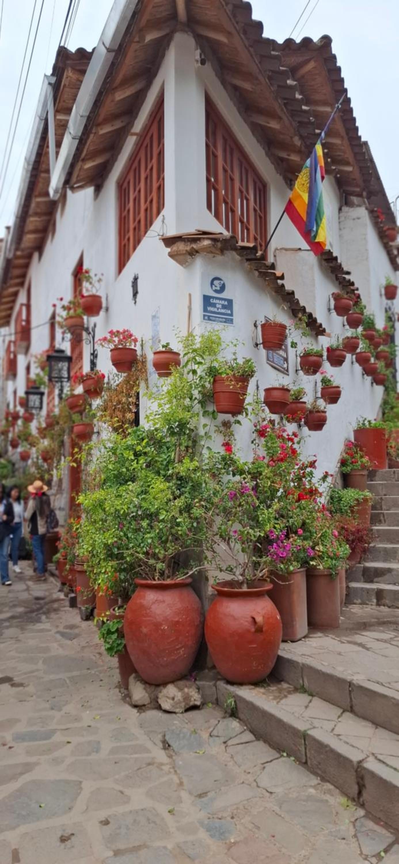 Hotel Valle Andino