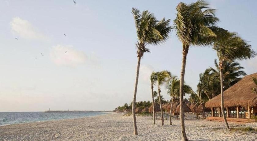 Foto de Finest Playa Mujeres - All Inclusive