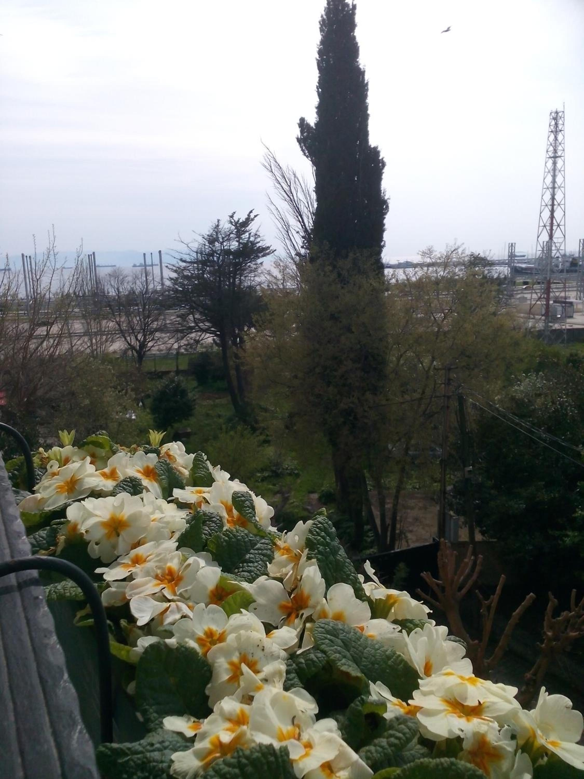 Foto de Pendik Marine Hotel
