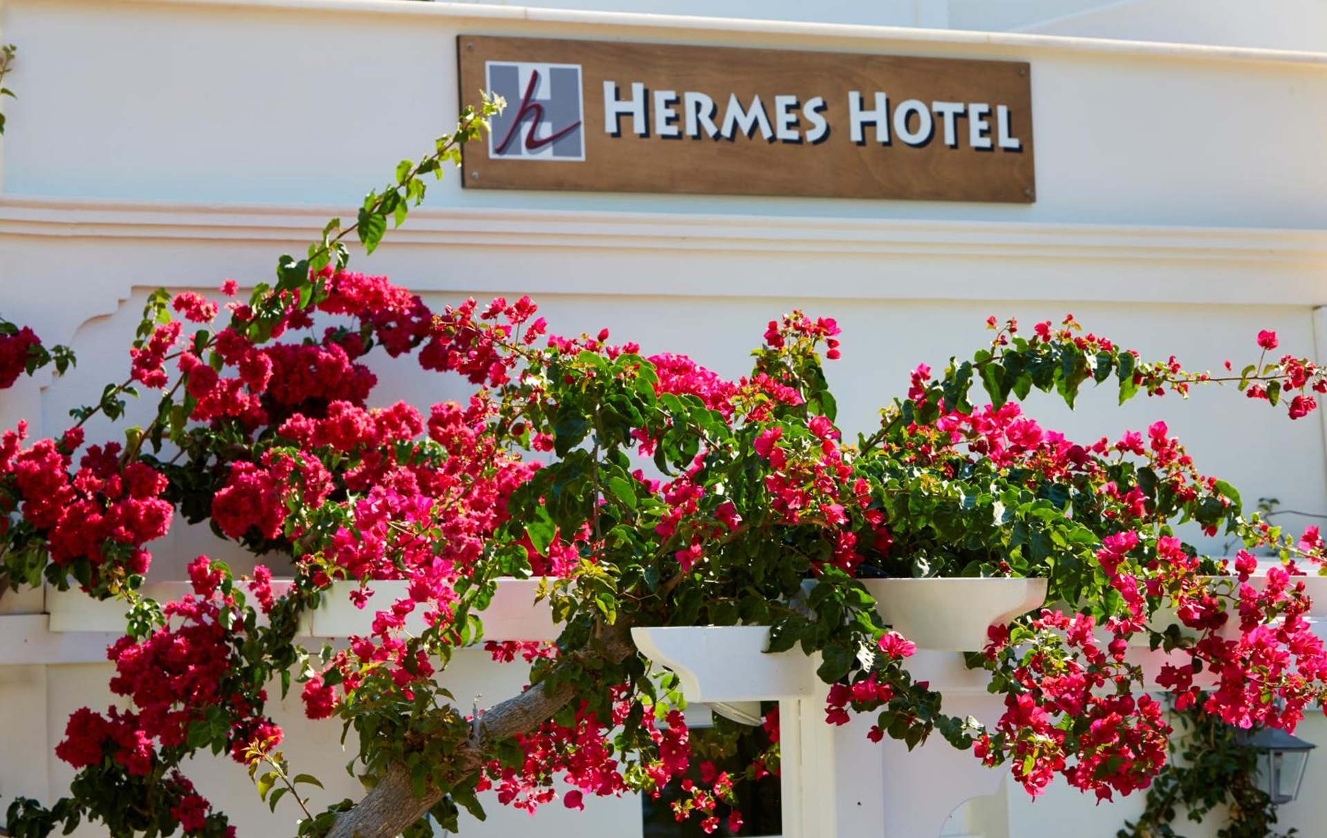 Hermes Hotel