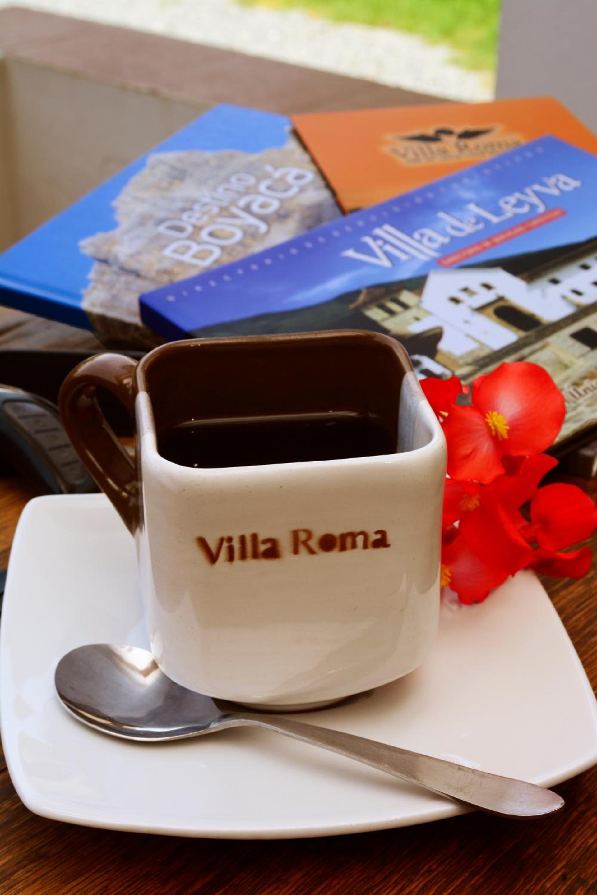 Foto de Hotel Boutique Villa Roma
