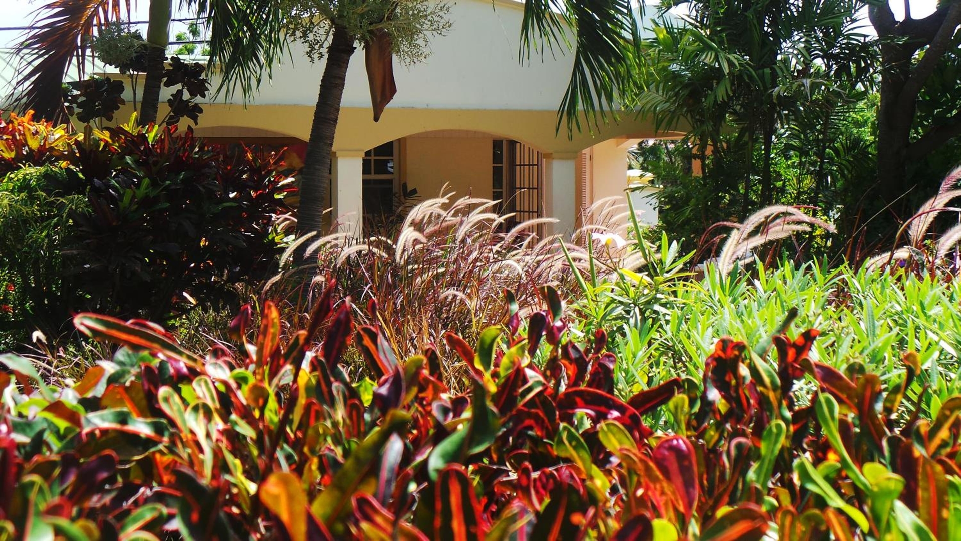Foto de Blue Horizons Garden Resort