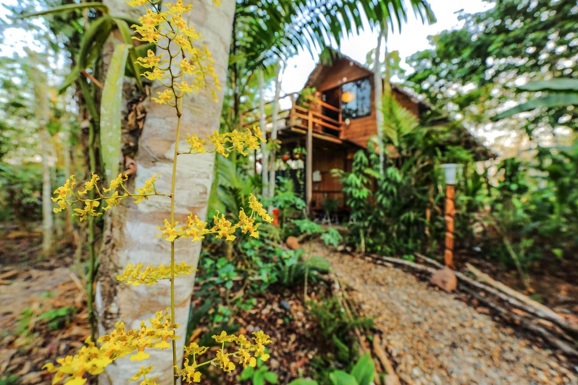 Foto de Kapievi Ecovillage