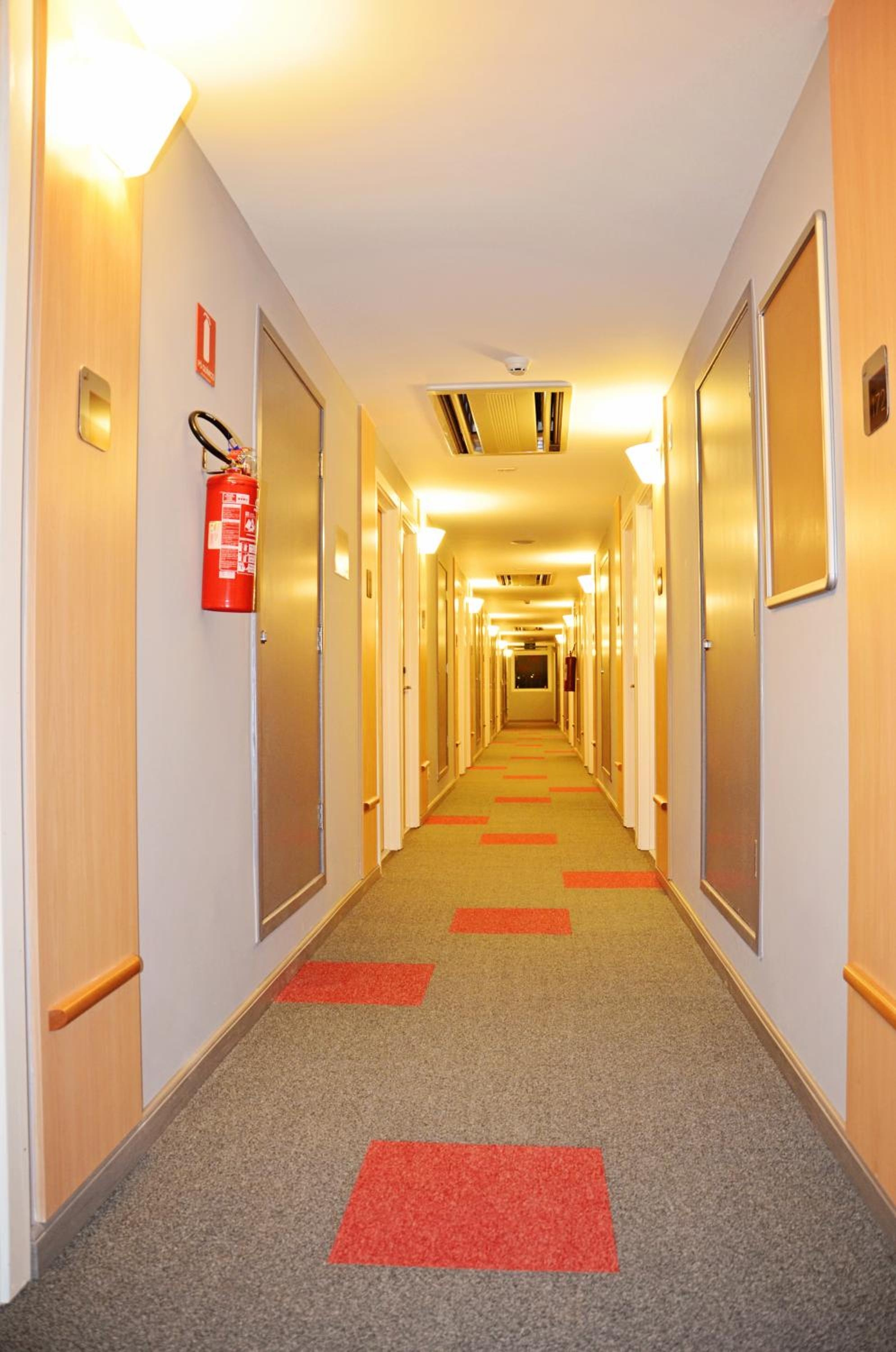 Foto de ibis Rio Branco