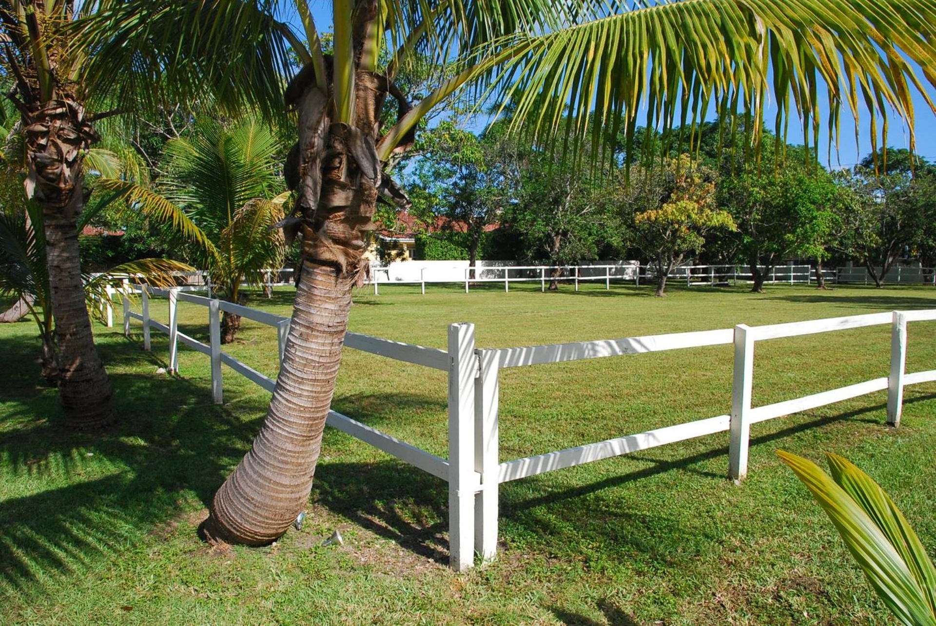 Foto de La Finca