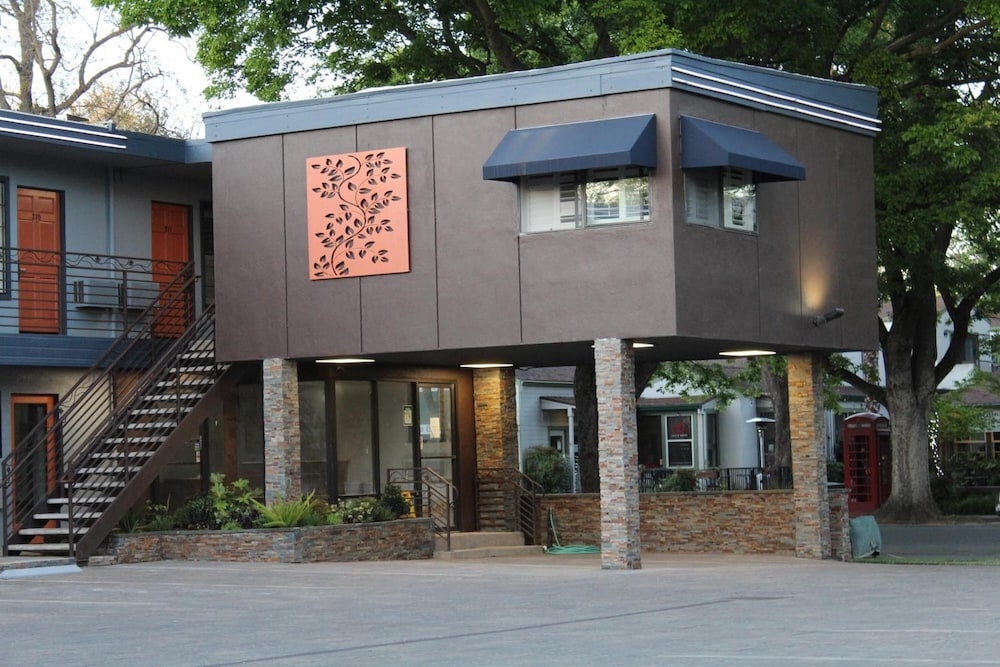 The Vine Inn Davis, Davis