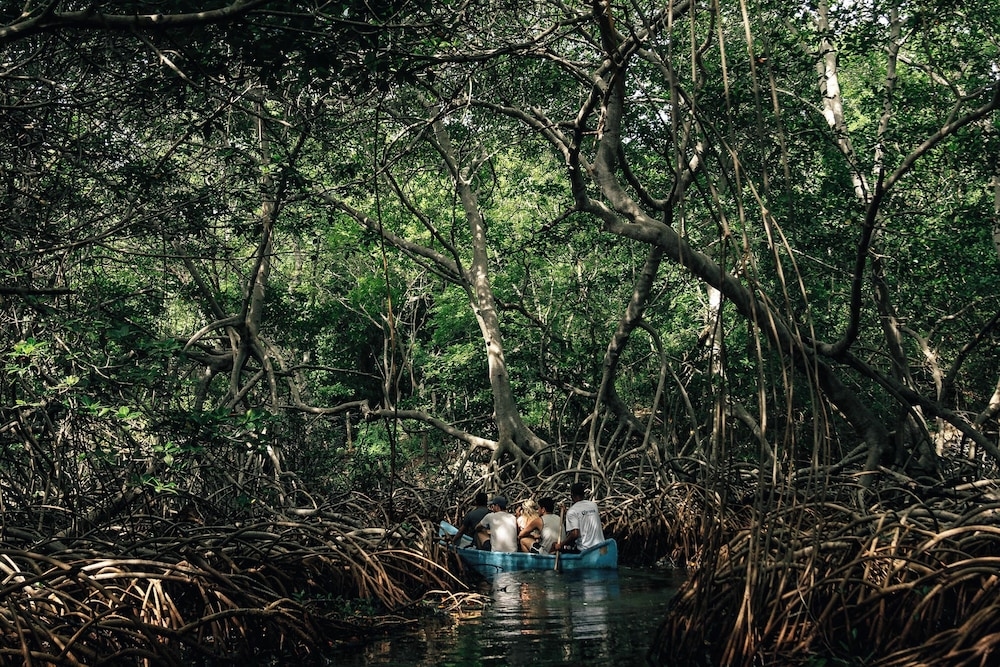 Foto de Isla Corona