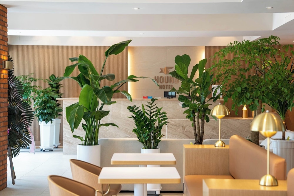 Foto de Hound Hotel Daecheon