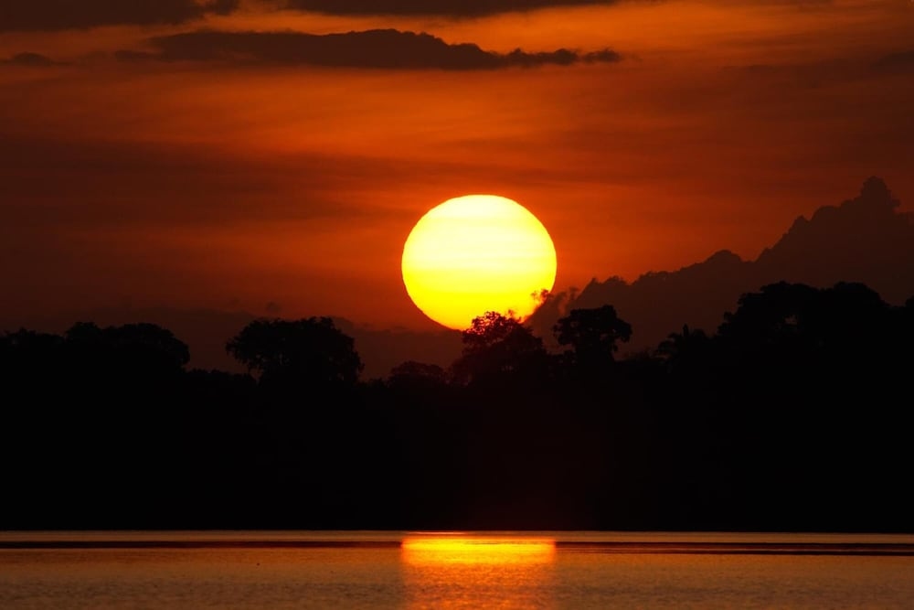 Foto de Juma Amazon Lodge