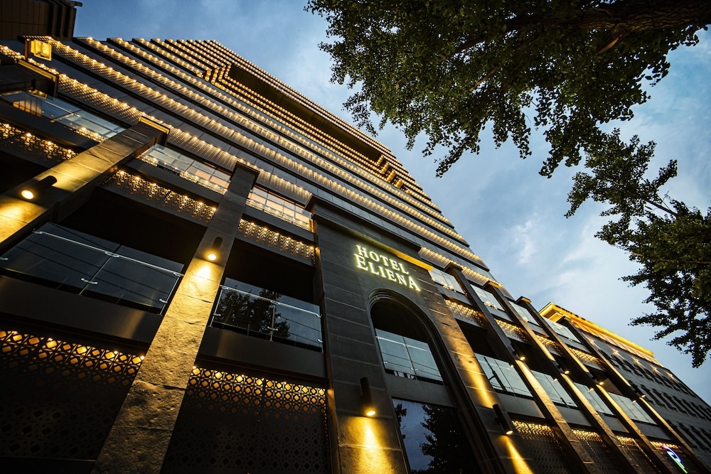 ELIENA HOTEL SEOUL GANGNAM