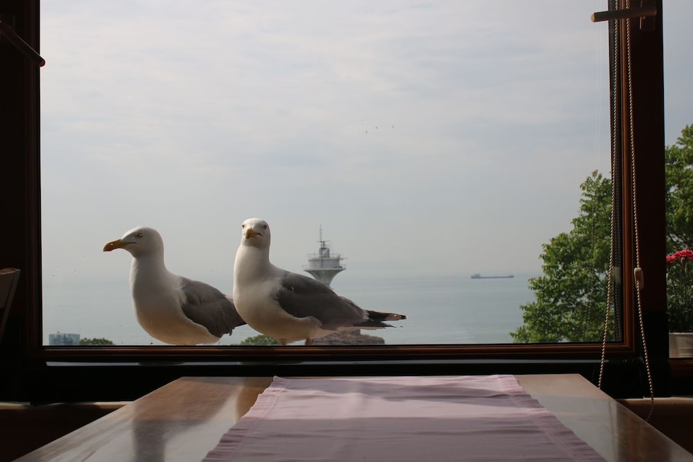 Foto de Emine Sultan Hotel