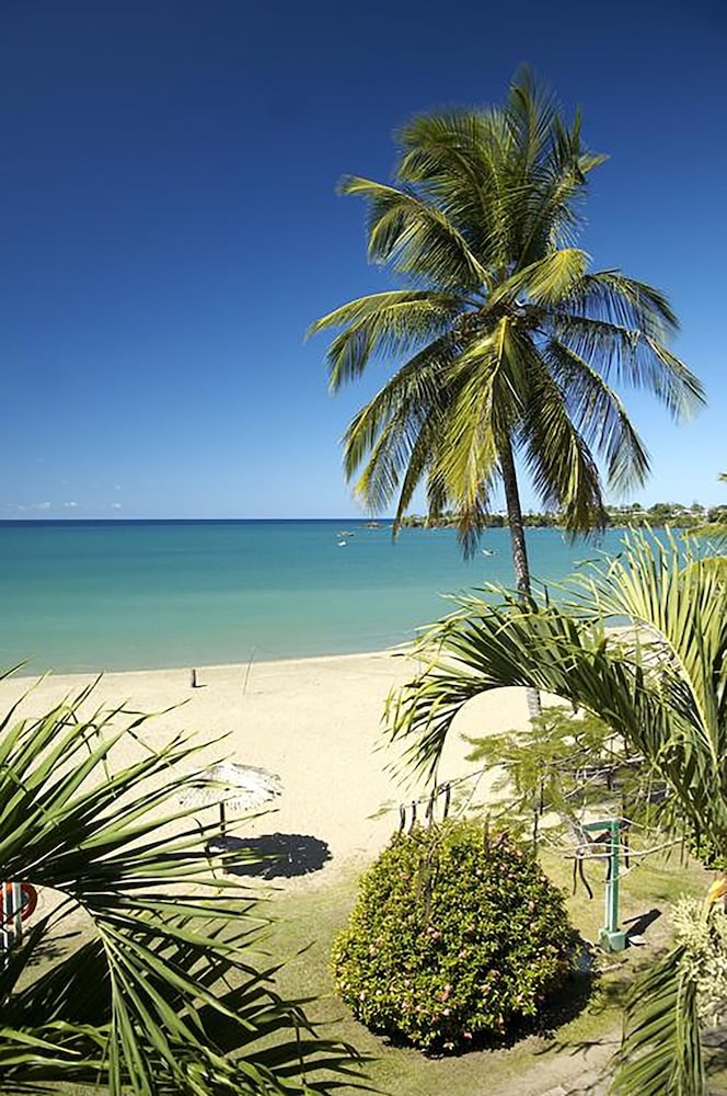 Foto de Starfish Tobago Resort
