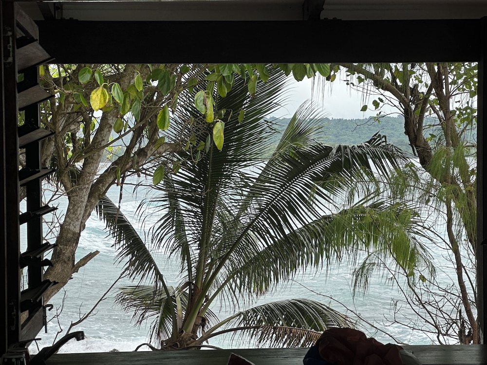Foto de Dany Island