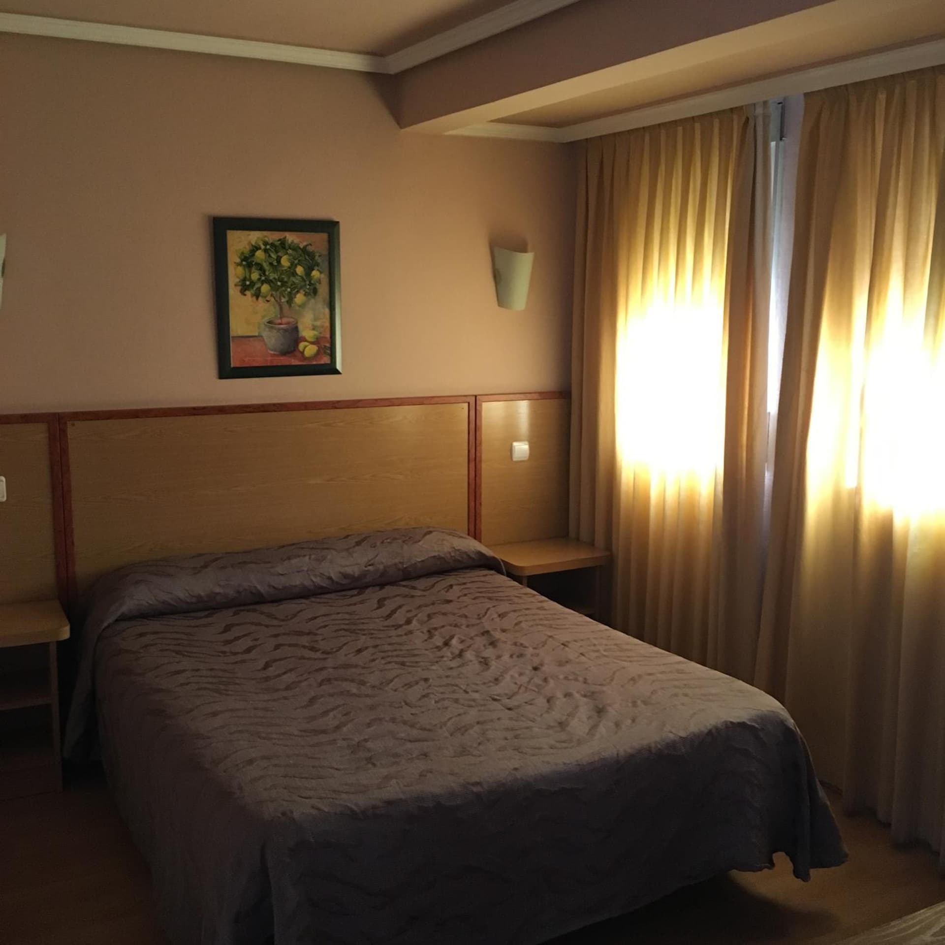 Hotel Avenida Leganés, Leganés, foto 2