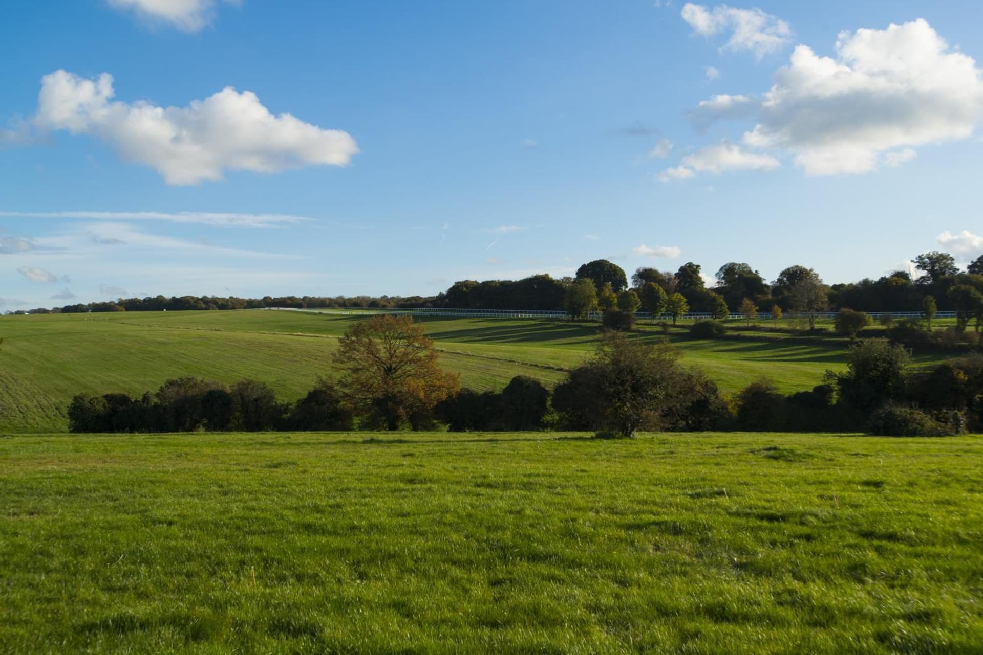 Holiday Inn Express London - Epsom Downs by IHG, Epsom, foto 2