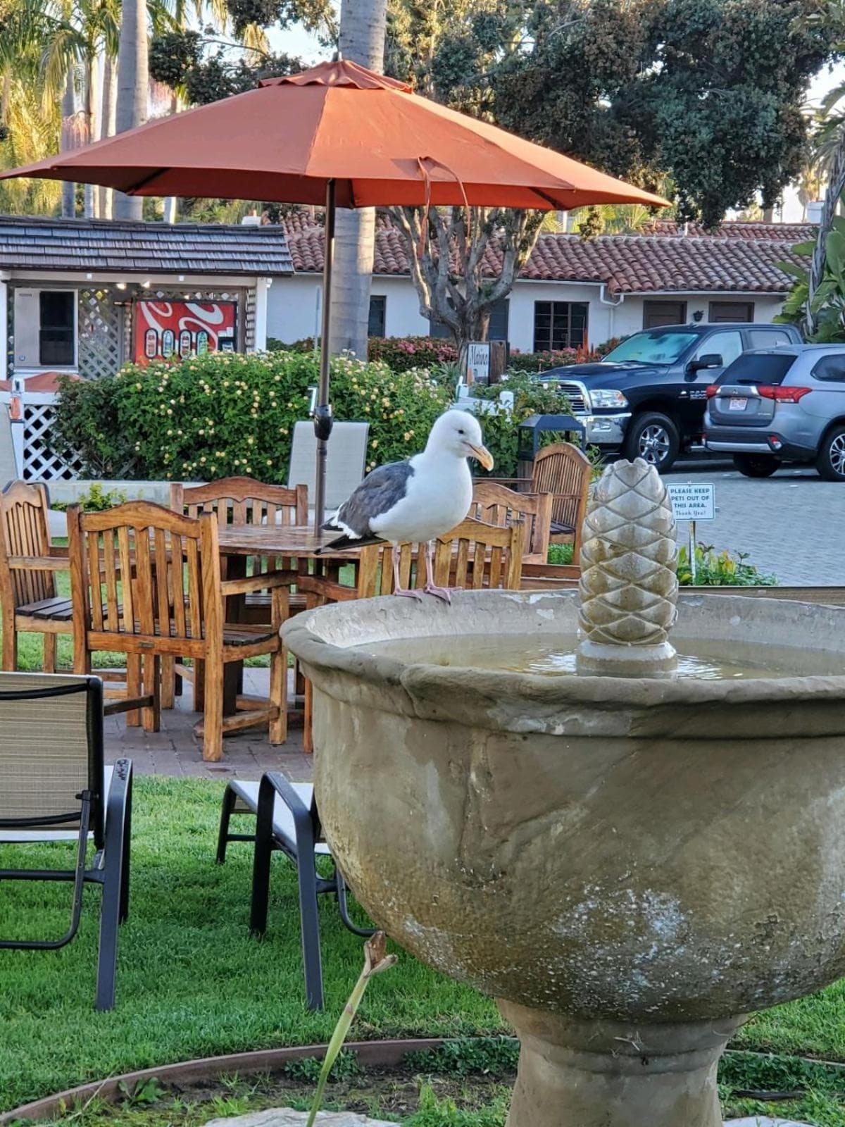 Marina Beach Hotel, Santa Barbara, foto 2