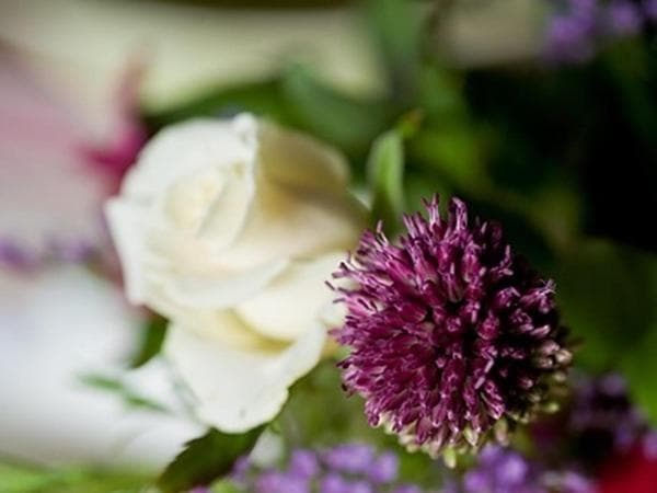 The Old Manor House B & B, Brasted, foto 2