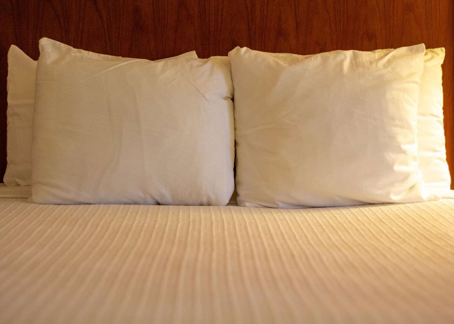 Best Western Plus A Wayfarer's Inn & Suites, Kingman, foto 3
