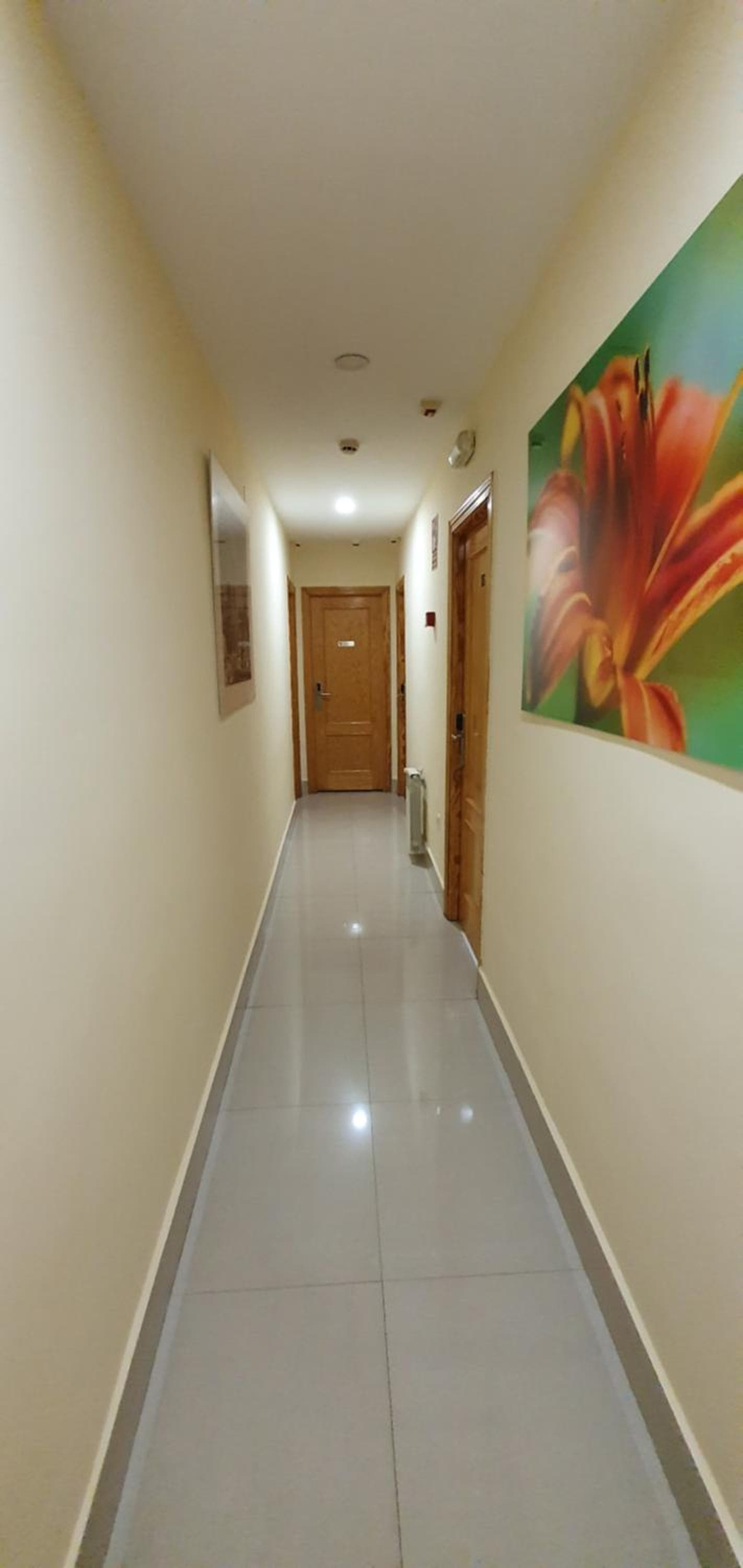 Hostal Moncloa, Madrid, foto 3