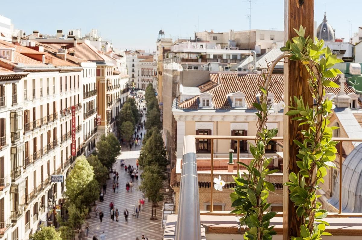 Francisco I, Madrid, foto 2