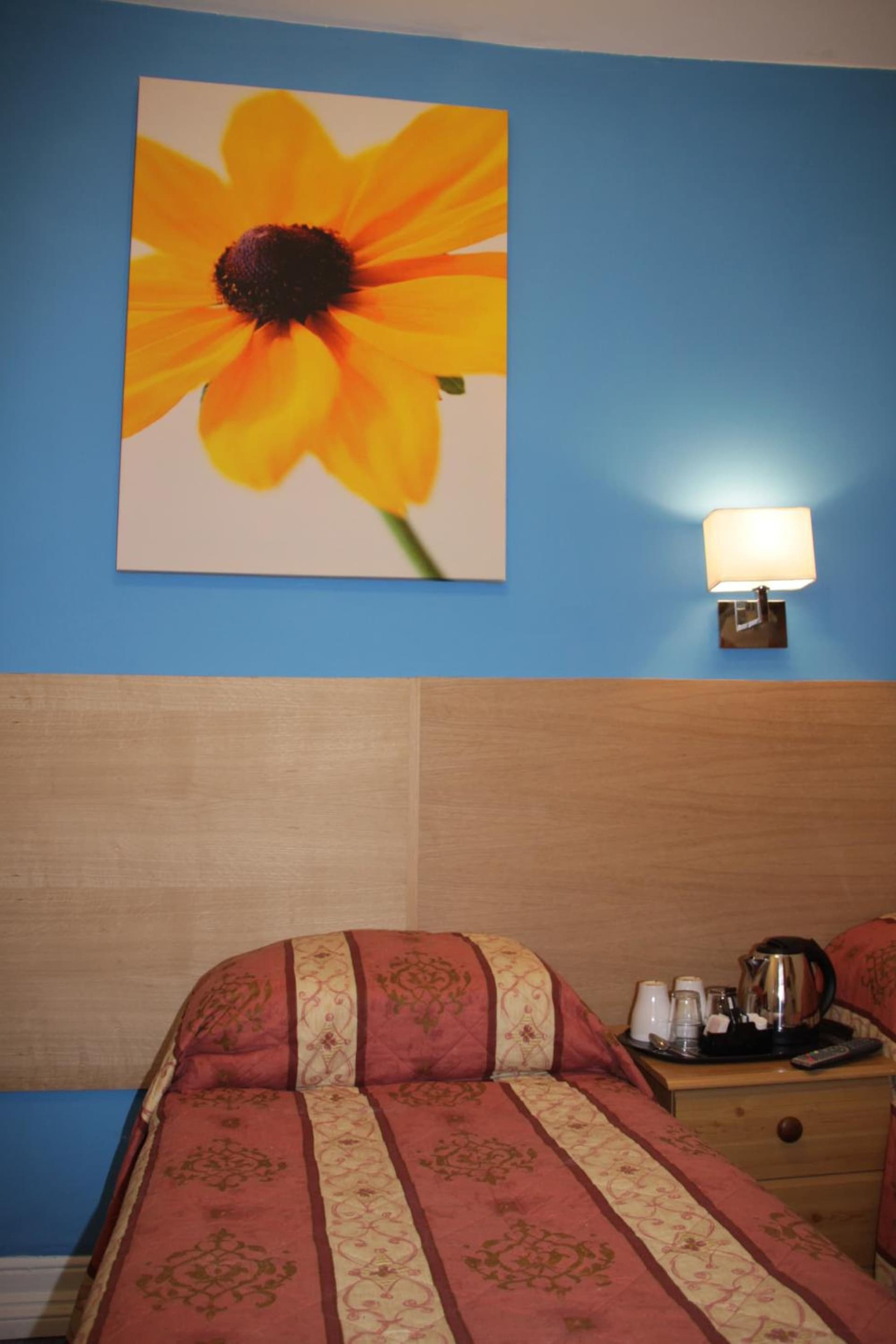 The Grapevine Hotel, London, foto 2