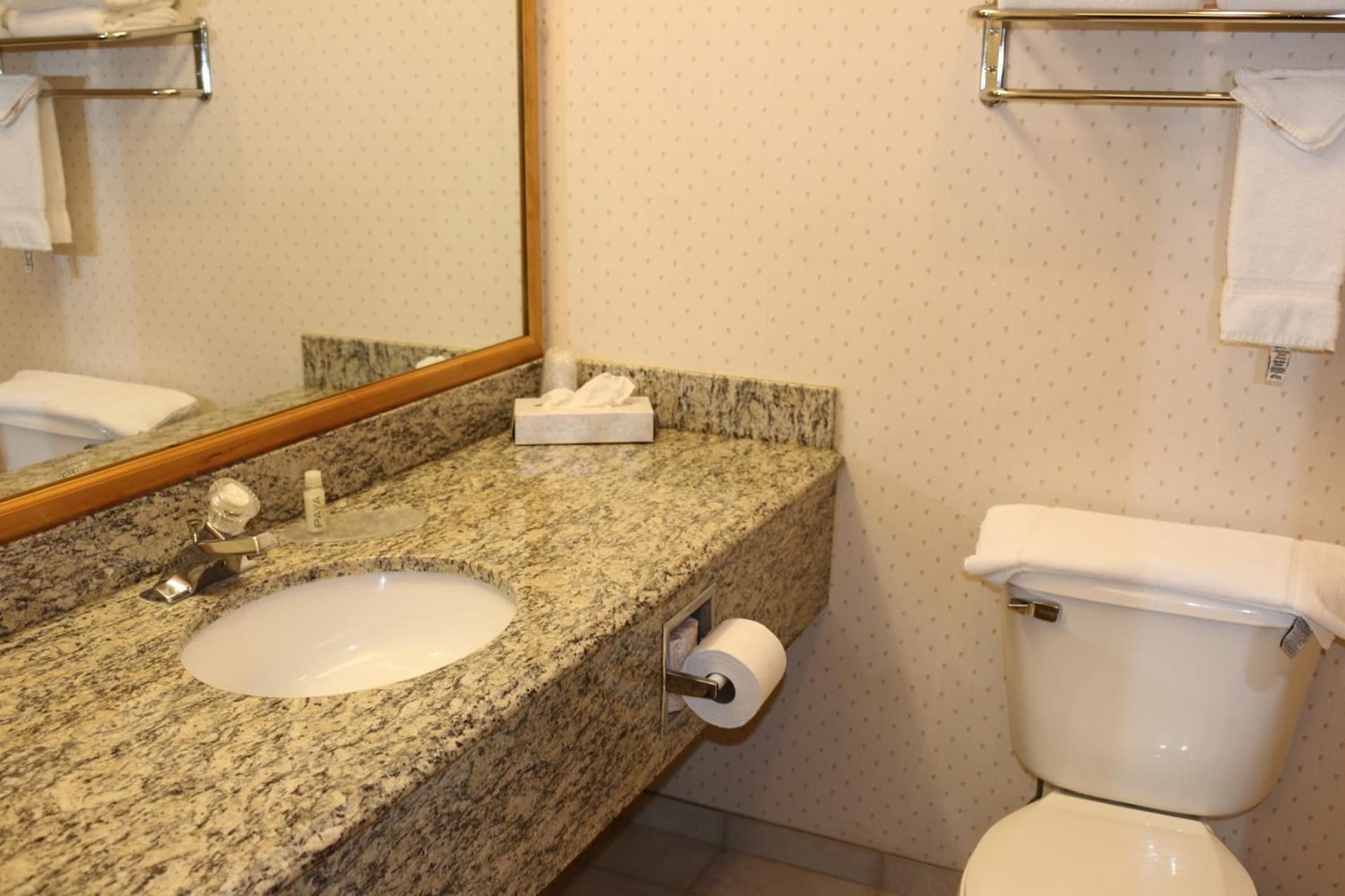 Gray Wolf Inn & Suites, West Yellowstone, foto 3