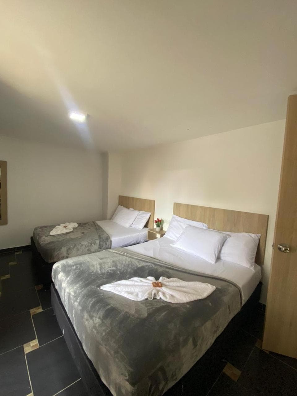 Hotel Colores Boutique, Laureles, foto 3