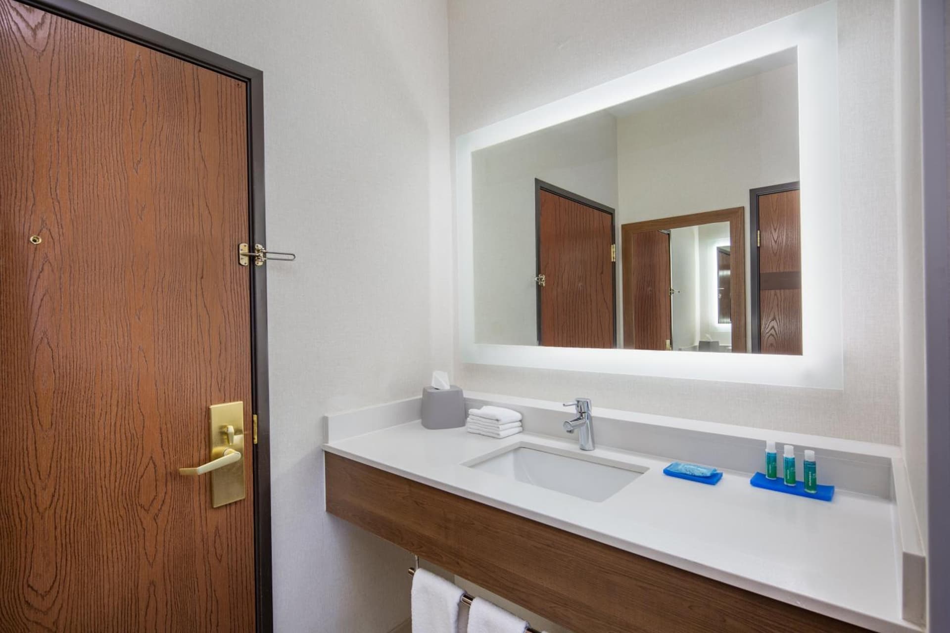 Holiday Inn Express Hotel & Suites Bishop by IHG, Bishop, foto 3
