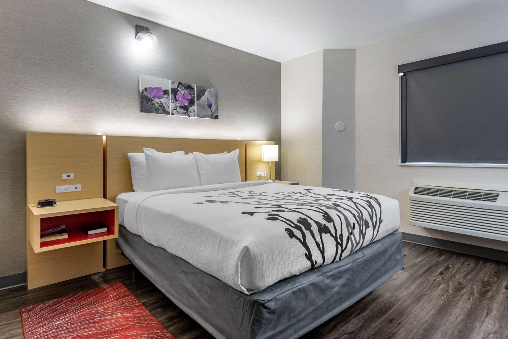 Sleep Inn & Suites Jerome - Twin Falls, Jerome, foto 3