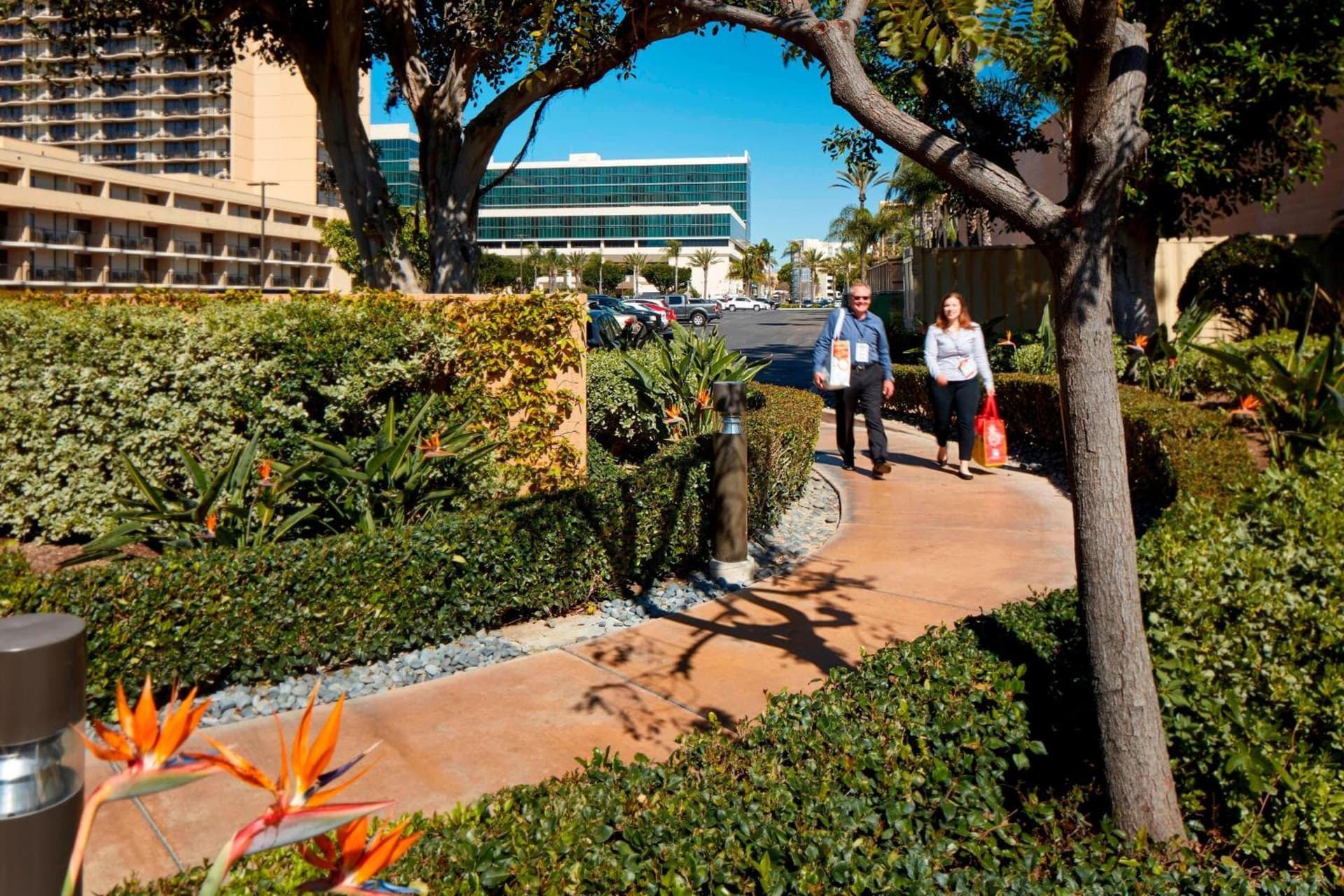 Courtyard by Marriott Anaheim Resort/Convention Center, Anaheim, foto 2