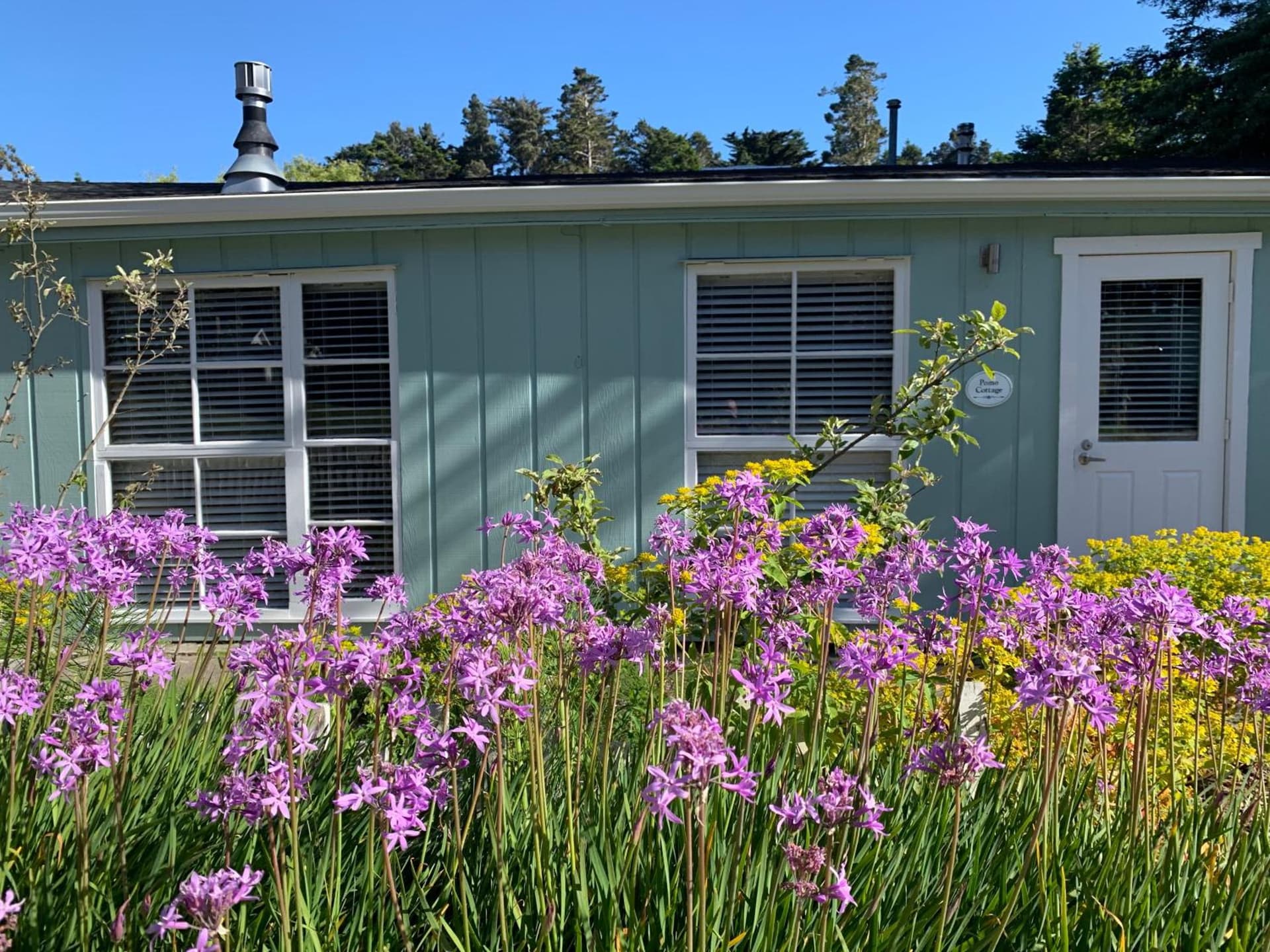 Inn at Schoolhouse Creek, Mendocino, foto 2