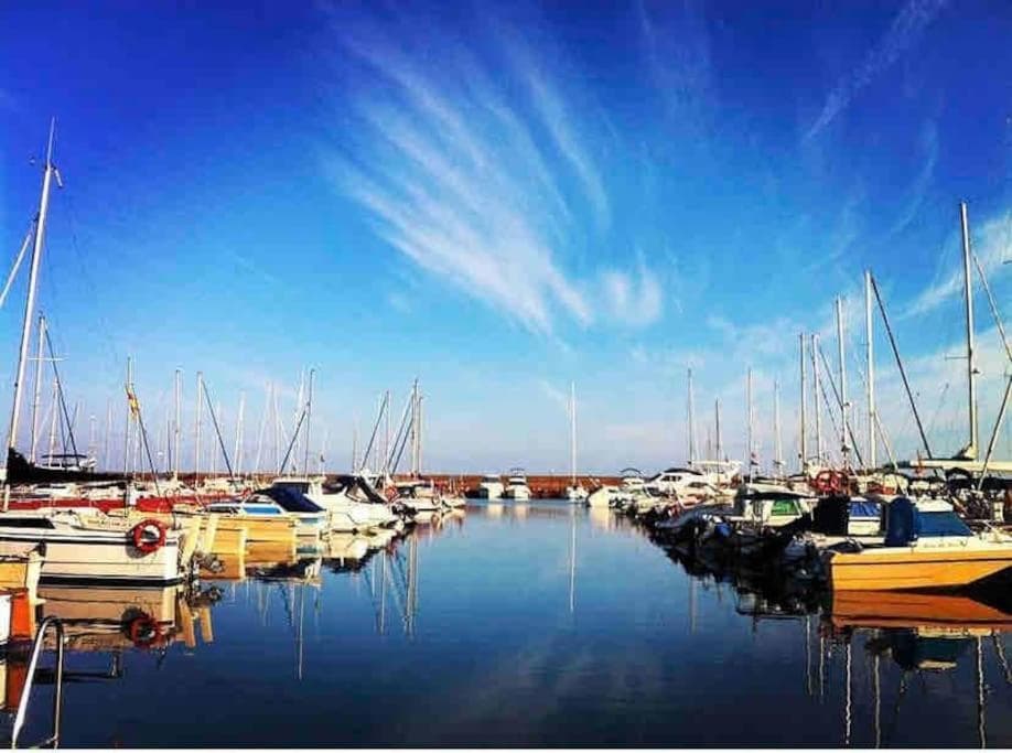 Brisa Marina, Las Canteras, foto 2