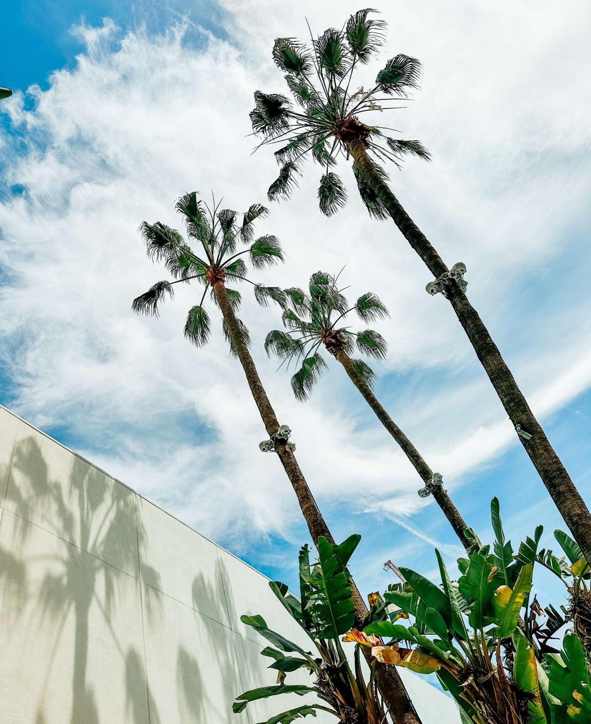 The Beverly Hilton, Beverly Hills, foto 3