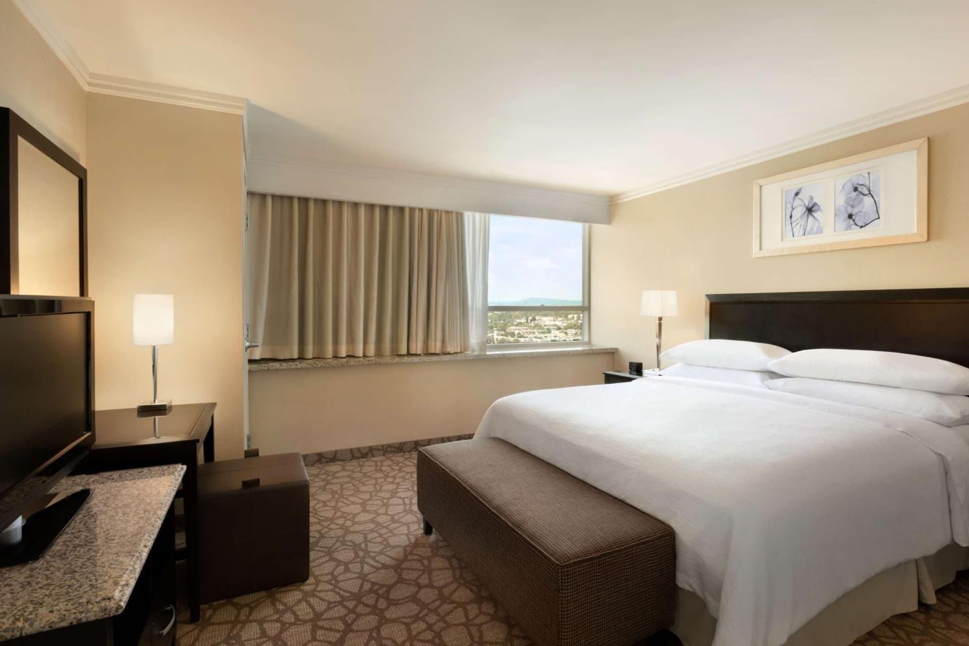 Embassy Suites Los Angeles Glendale, Glendale, foto 3