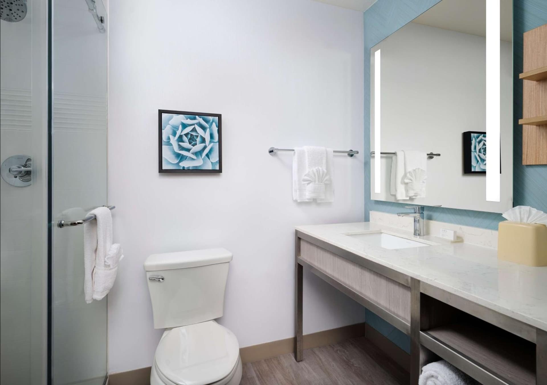 Hilton Garden Inn San Jose/Milpitas, Milpitas, foto 3