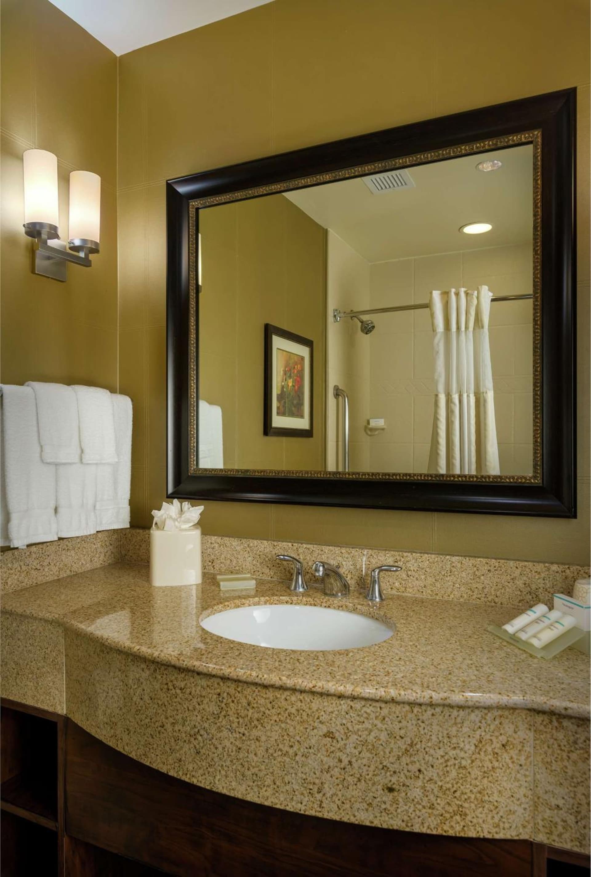 Hilton Garden Inn Phoenix Airport North, Phoenix, foto 3
